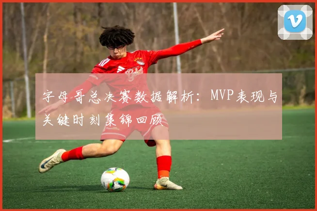 字母哥总决赛数据解析：MVP表现与关键时刻集锦回顾
