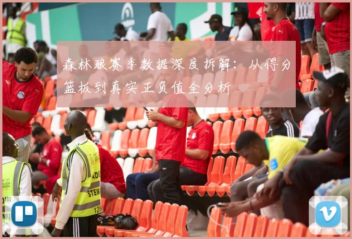森林狼赛季数据深度拆解：从得分篮板到真实正负值全分析
