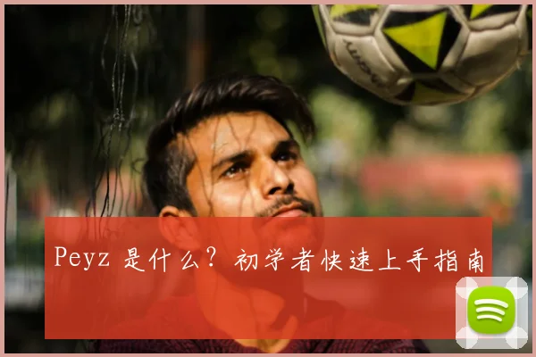 Peyz 是什么？初学者快速上手指南