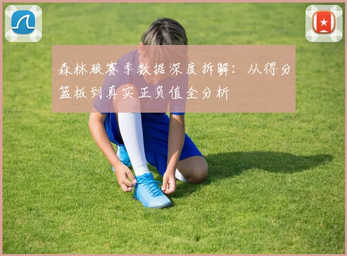 森林狼赛季数据深度拆解：从得分篮板到真实正负值全分析