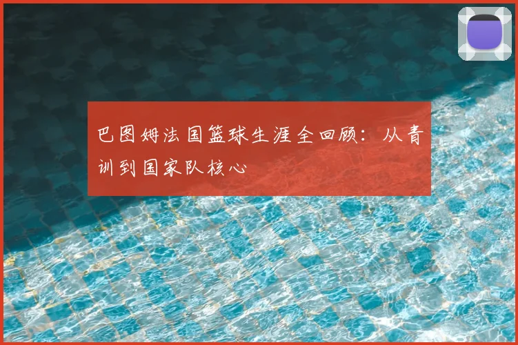 巴图姆法国篮球生涯全回顾：从青训到国家队核心