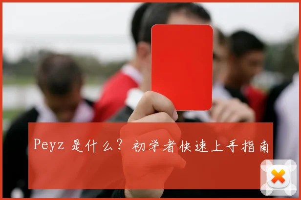 Peyz 是什么？初学者快速上手指南