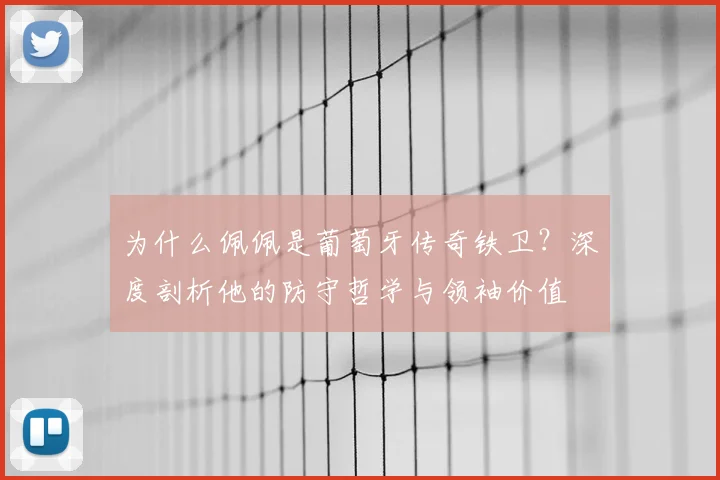 为什么佩佩是葡萄牙传奇铁卫？深度剖析他的防守哲学与领袖价值